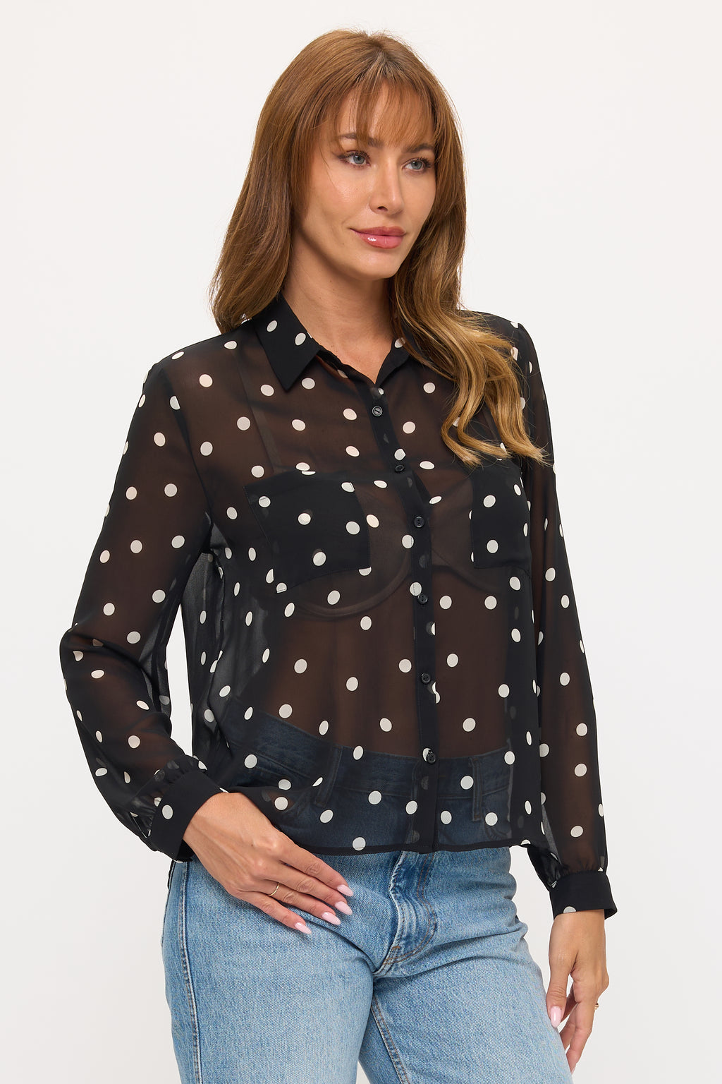 Sheer Chiffon Button-Up Shirt